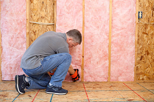 Types of Insulation We Offer in Mesa, AZ